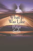 What It Was Like : A Novel of Love and Consequence-9781611882827