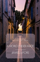 A World I Never Made : A Novel of Suspense-9781611883718