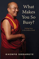 What Makes You So Busy?-9781614295846