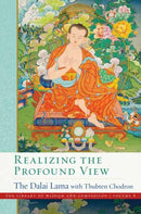 Realizing the Profound View-9781614298403
