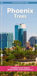 Phoenix Trees-9781620055830