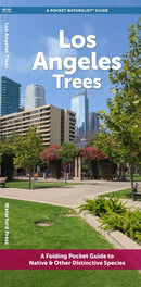Angeles Trees-9781620055847