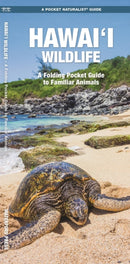 Hawai''i Wildlife
