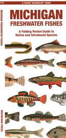 Michigan Freshwater Fishes-9781620056554