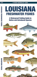 Louisiana Freshwater Fishes-9781620056592