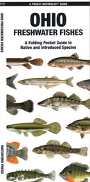 Ohio Freshwater Fishes-9781620056615