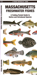 Massachusetts Freshwater Fishes-9781620056707