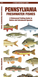 Pennsylvania Freshwater Fishes-9781620056714