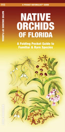 Native Orchids of Florida-9781620057377