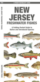 New Jersey Freshwater Fishes-9781620057629