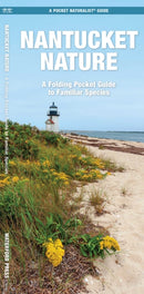 Nantucket Nature
