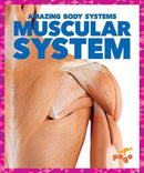 Muscular System-9781620315590