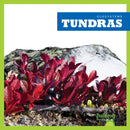 Tundras-9781620316825