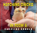 Hatching Chicks in Room 6-9781623542689