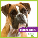 Boxers-9781624967665