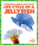 Life Cycle of a Jellyfish-9781624968129