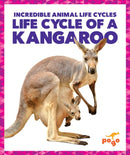 Life Cycle of a Kangaroo-9781624968150
