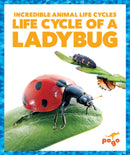 Life Cycle of a Ladybug-9781624968181