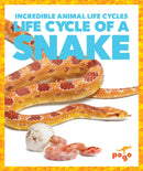 Life Cycle of a Snake-9781624968211