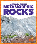 Metamorphic Rocks-9781624968365