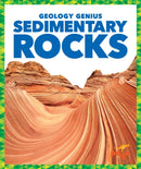 Sedimentary Rocks-9781624968457