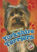 Yorkshire Terriers-9781626172449