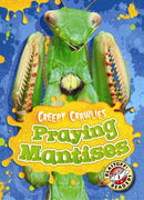 Praying Mantises