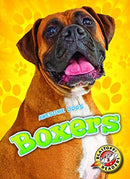 Boxers-9781626173033