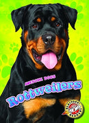 Rottweilers-9781626173071