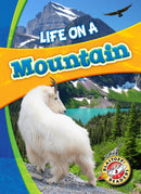Life in a Mountain-9781626173194