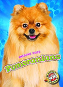 Pomeranians-9781626173941