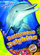 Bottlenose Dolphins-9781626174139