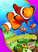 Clownfish-9781626174146