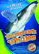Humpback Whales-9781626174177