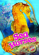 Sea Horses-9781626174207