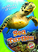 Sea Turtles-9781626174221