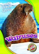 Walruses-9781626174245