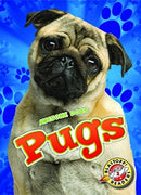 Pugs-9781626175587