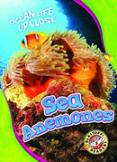 Sea Anemones-9781626175730