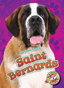Saint Bernards-9781626176157