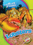 Lobsters-9781626176423