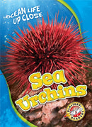 Sea Urchins-9781626176461