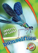 Damselflies-9781626176614