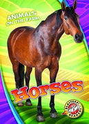 Horses-9781626177246