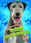 Irish Wolfhounds-9781626177925