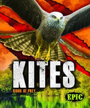Kites-9781626178779