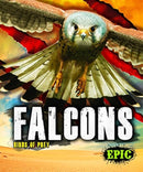 Falcons-9781626178793