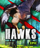 Hawks-9781626178809