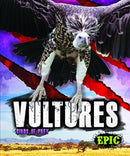 Vultures-9781626178823