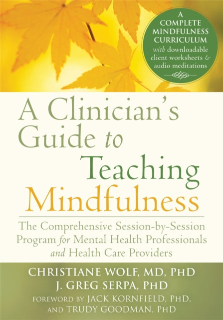 A Clinician's Guide to Teaching Mindfulness : The Comprehensive Session-by-Session Program for Mental Health Professionals and Health Care Providers-9781626251397